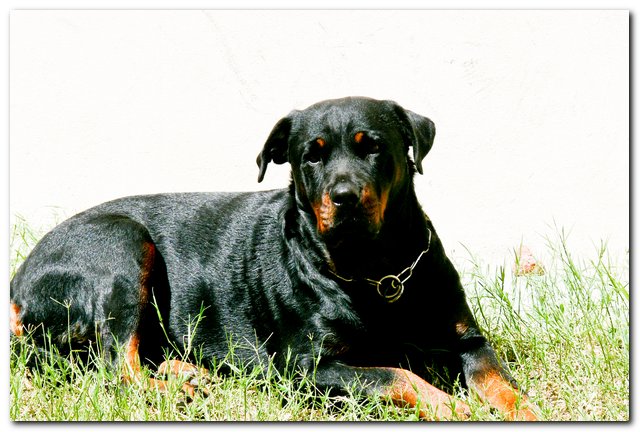 Mora, la Nena de la casa