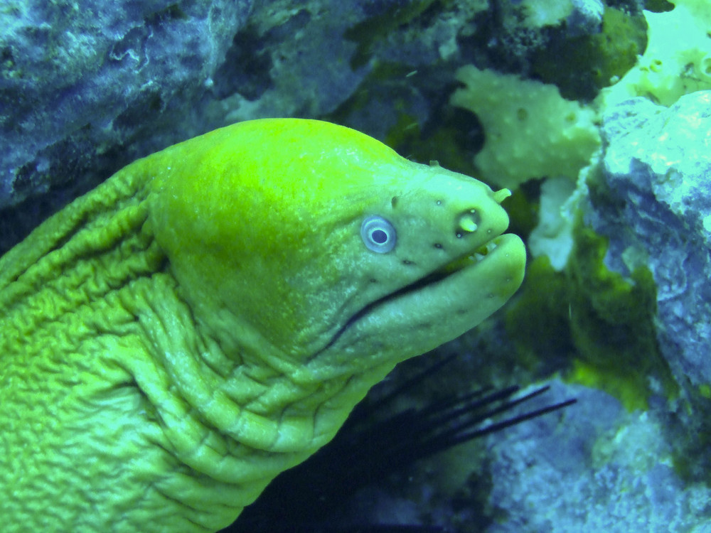 Moräne Foto & Bild picsbyme, natur Bilder auf