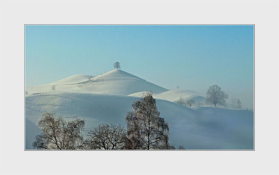 Moränen-Landschaft Hirzel