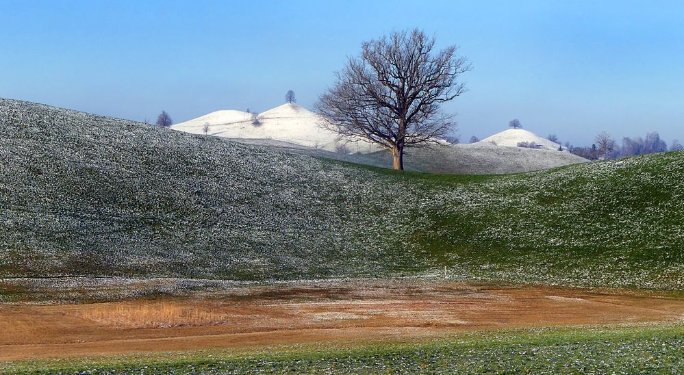 Moränengegend