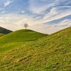 Moränenlandschaft im Dezemberlicht