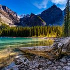 Moraine Lake