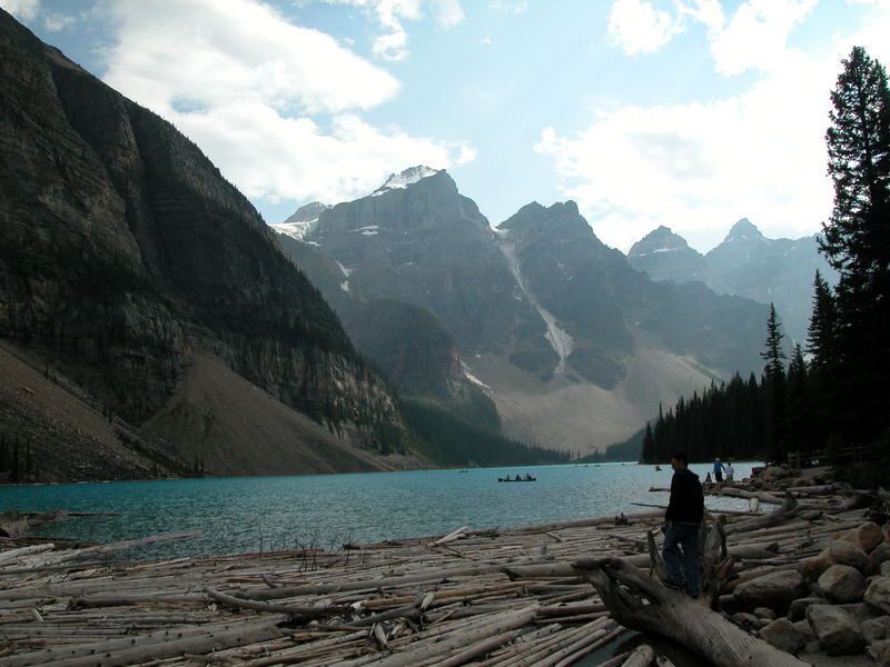 Moraine Lake, floating logs