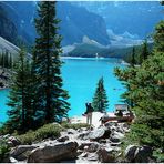 Moraine Lake from the Rockpile