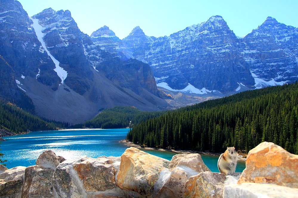 Moraine Lake Impressions