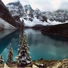 Moraine Lake with trees