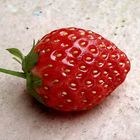 Morango-Strawberry