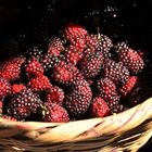 moras