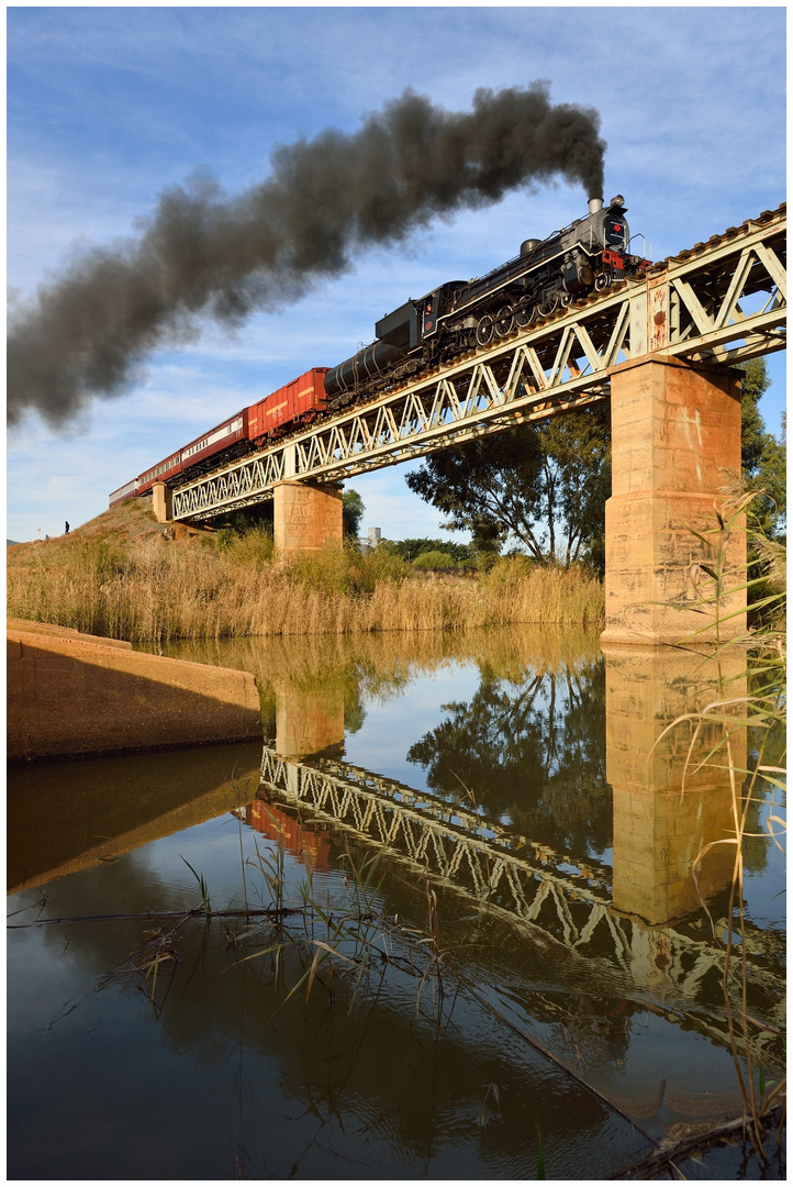 Moravia Bridge III