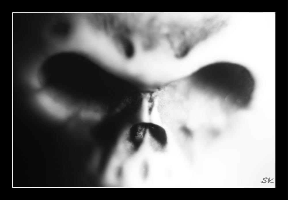 Morbid 7 Foto & Bild abstraktes, strukturen, motive Bilder auf