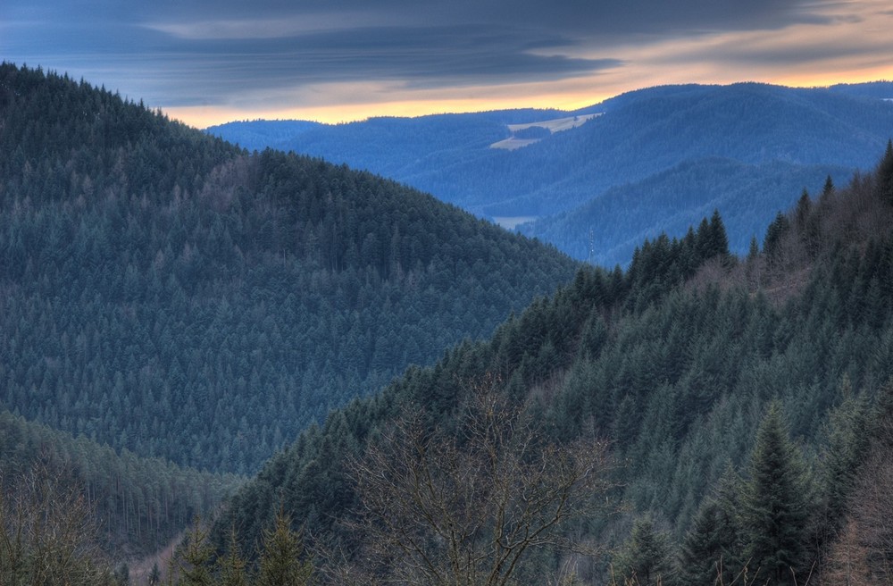 Mordor...oder ... Schwarzwald