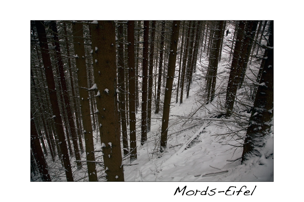 Mords-Eifel