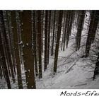 Mords-Eifel