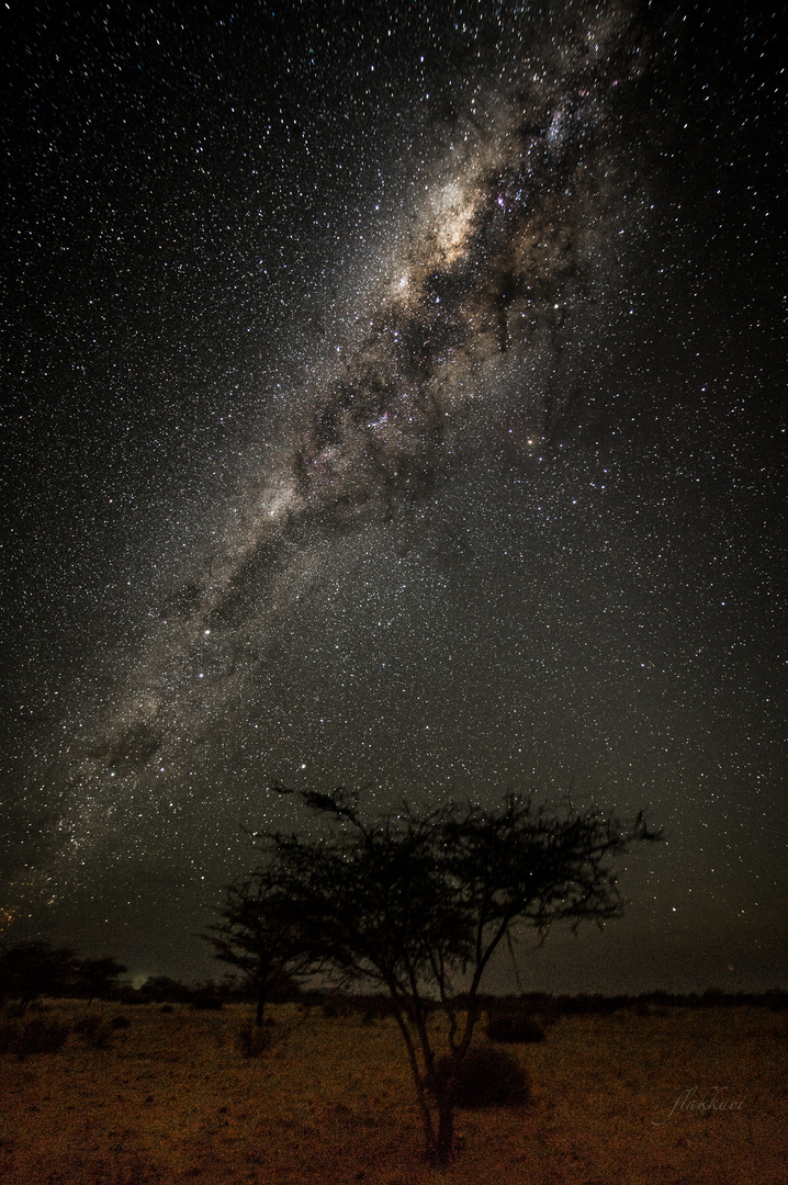 Mordwaffe: Milky way!