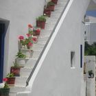 more beautiful PAROS