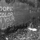 More color in your life