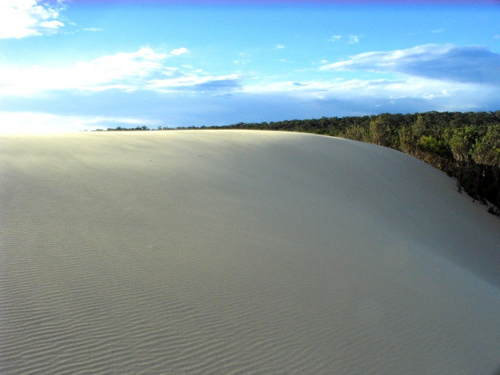 More dunes