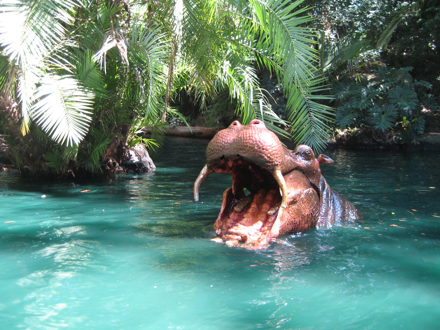 More Jungle Ride at Disneyland