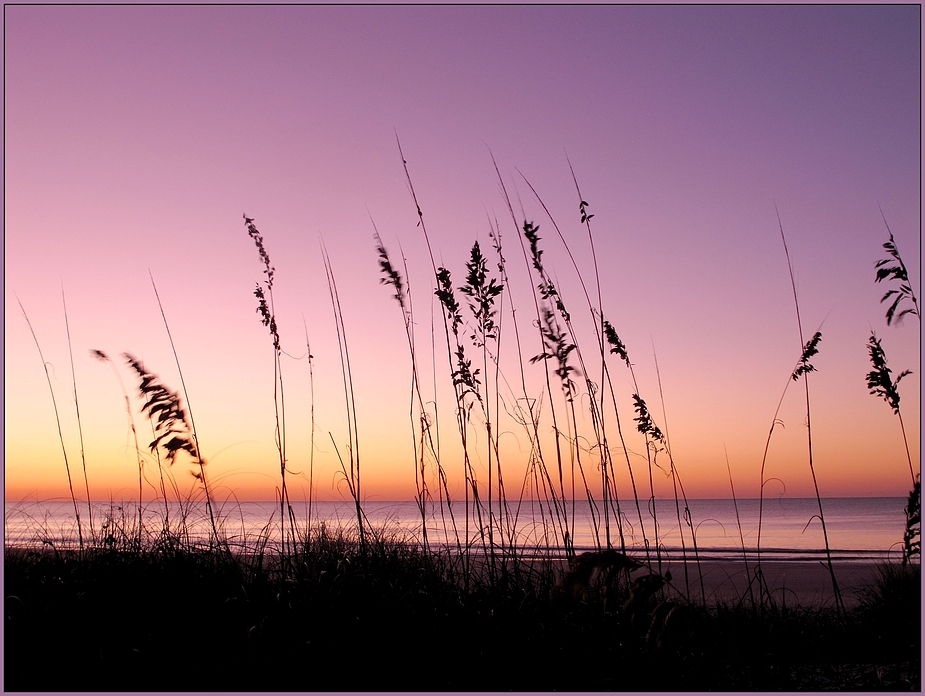 more Myrtle Beach sun rise