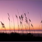 more Myrtle Beach sun rise