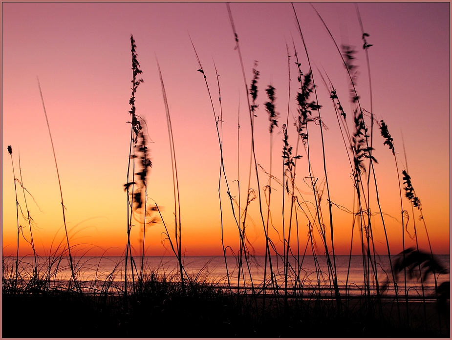 more Myrtle Beach sun rise II