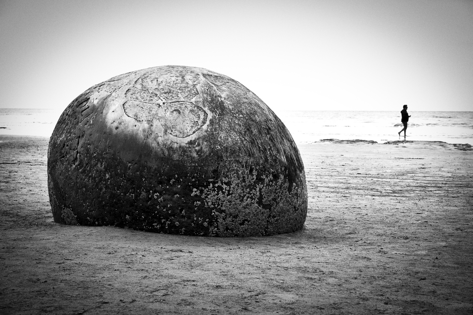 Moreaki Boulder