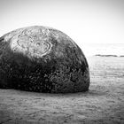 Moreaki Boulder