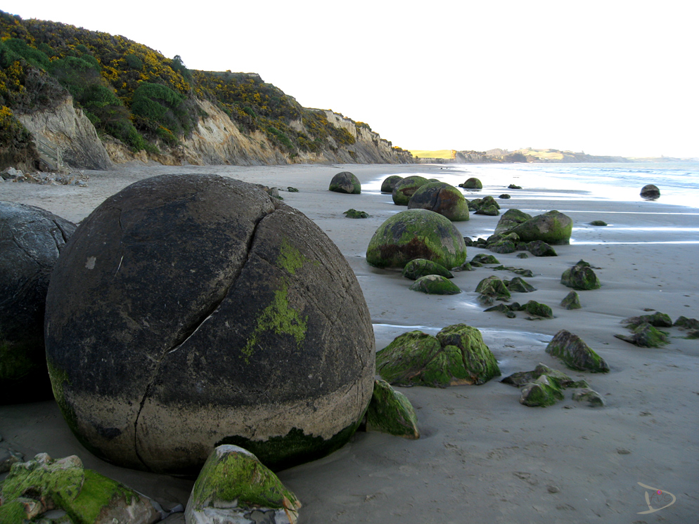 moreaki boulders 4