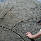 Moreaki Boulders_