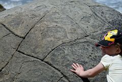 Moreaki Boulders_