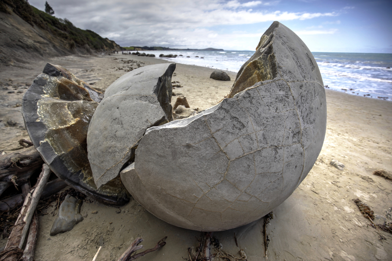 Moreaki Boulders III