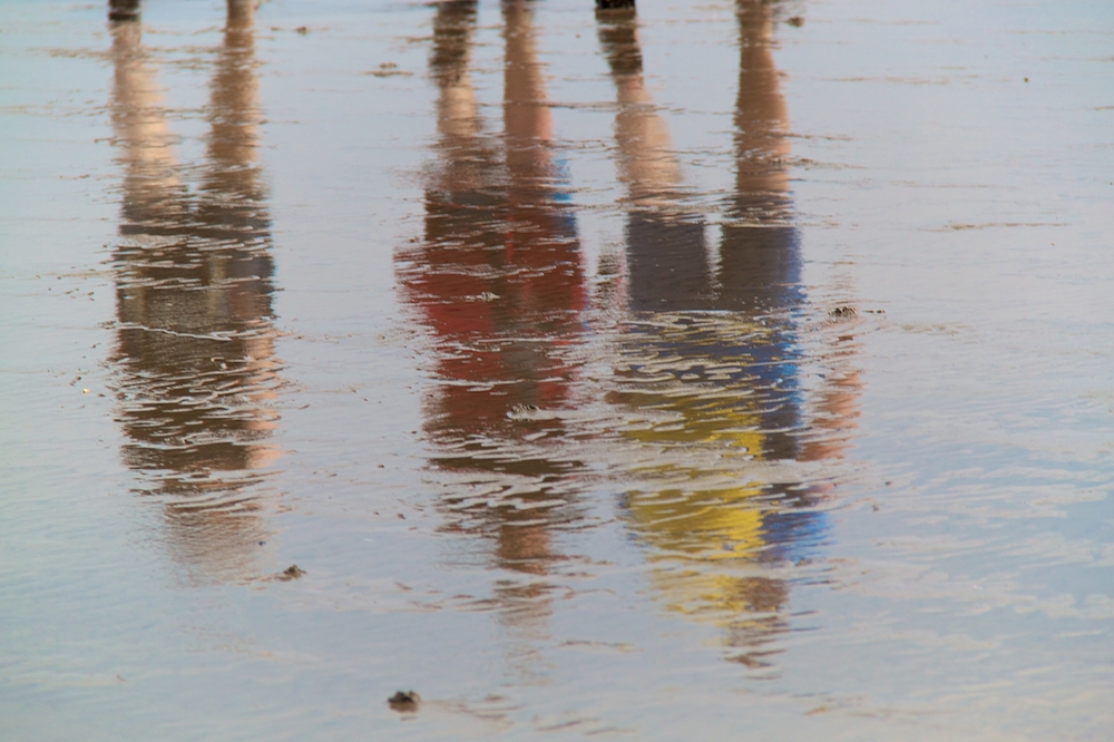 Morecambe Bay Walk