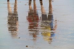 Morecambe Bay Walk