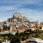 Morella