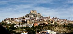 Morella