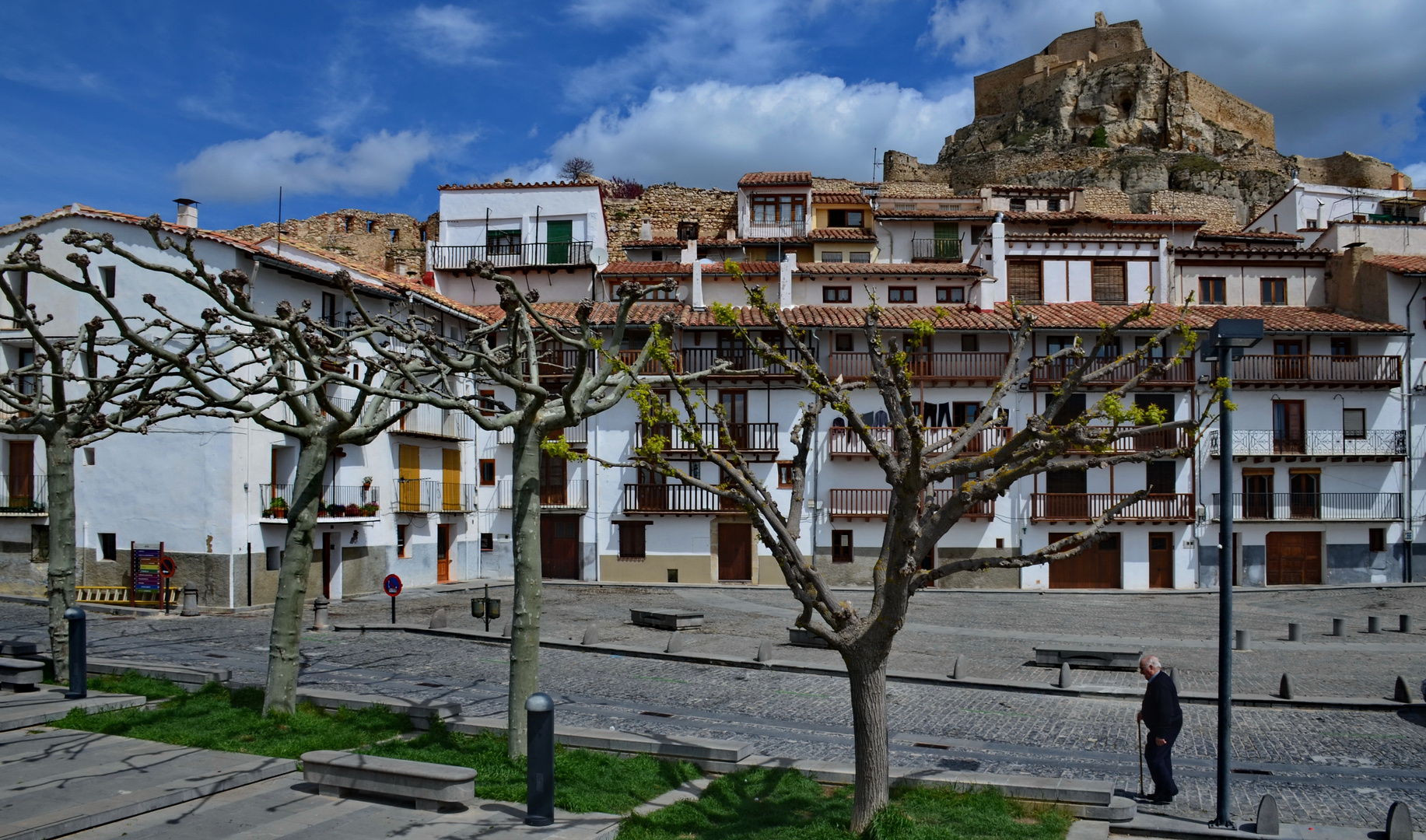 Morella