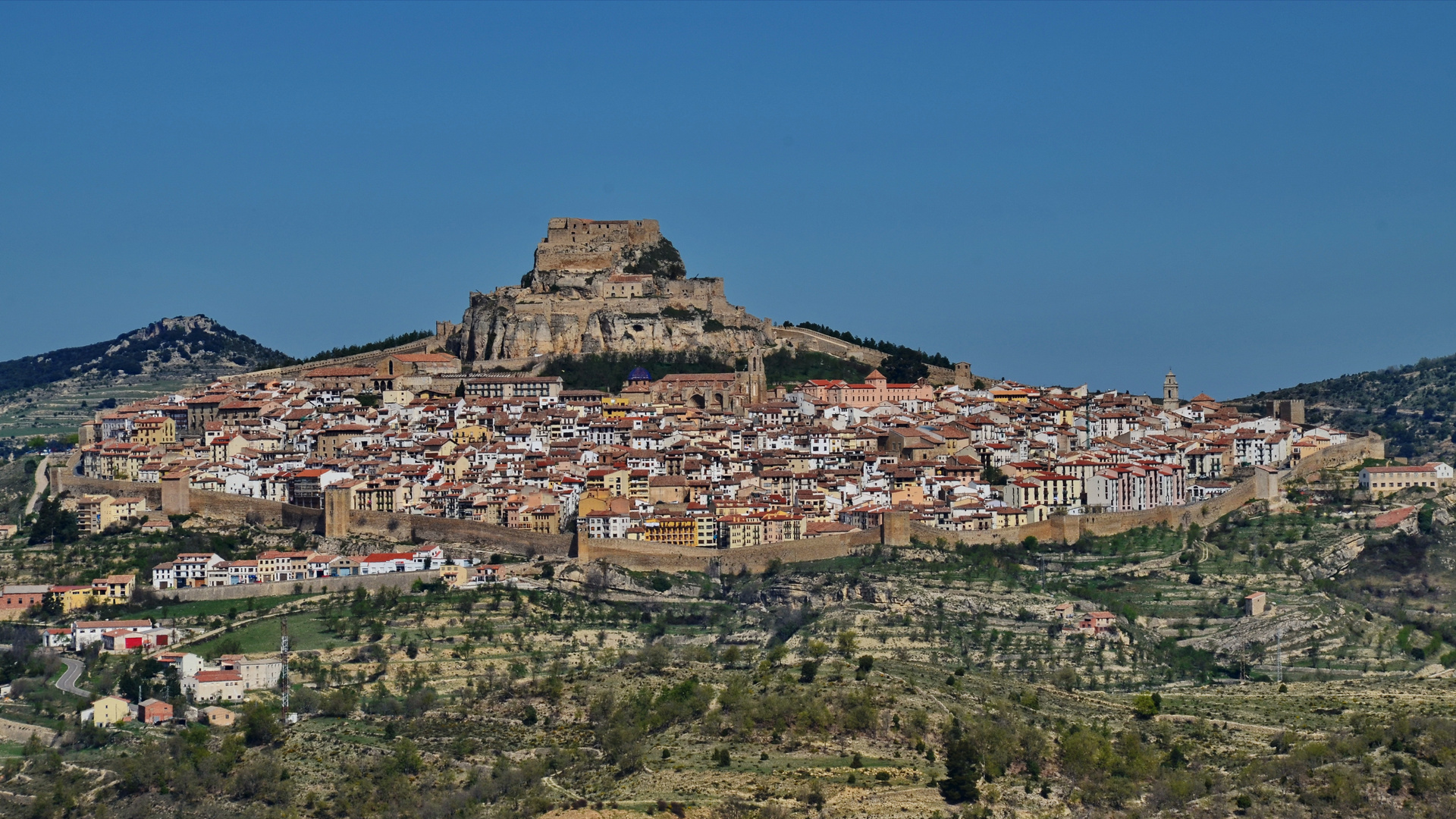 Morella