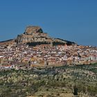 Morella