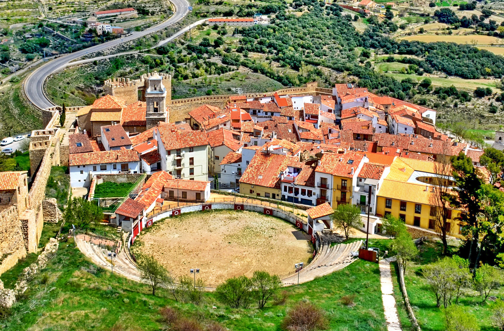 Morella