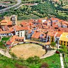 Morella