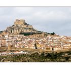 Morella