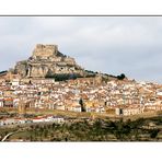 Morella