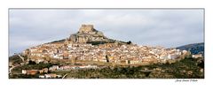 Morella