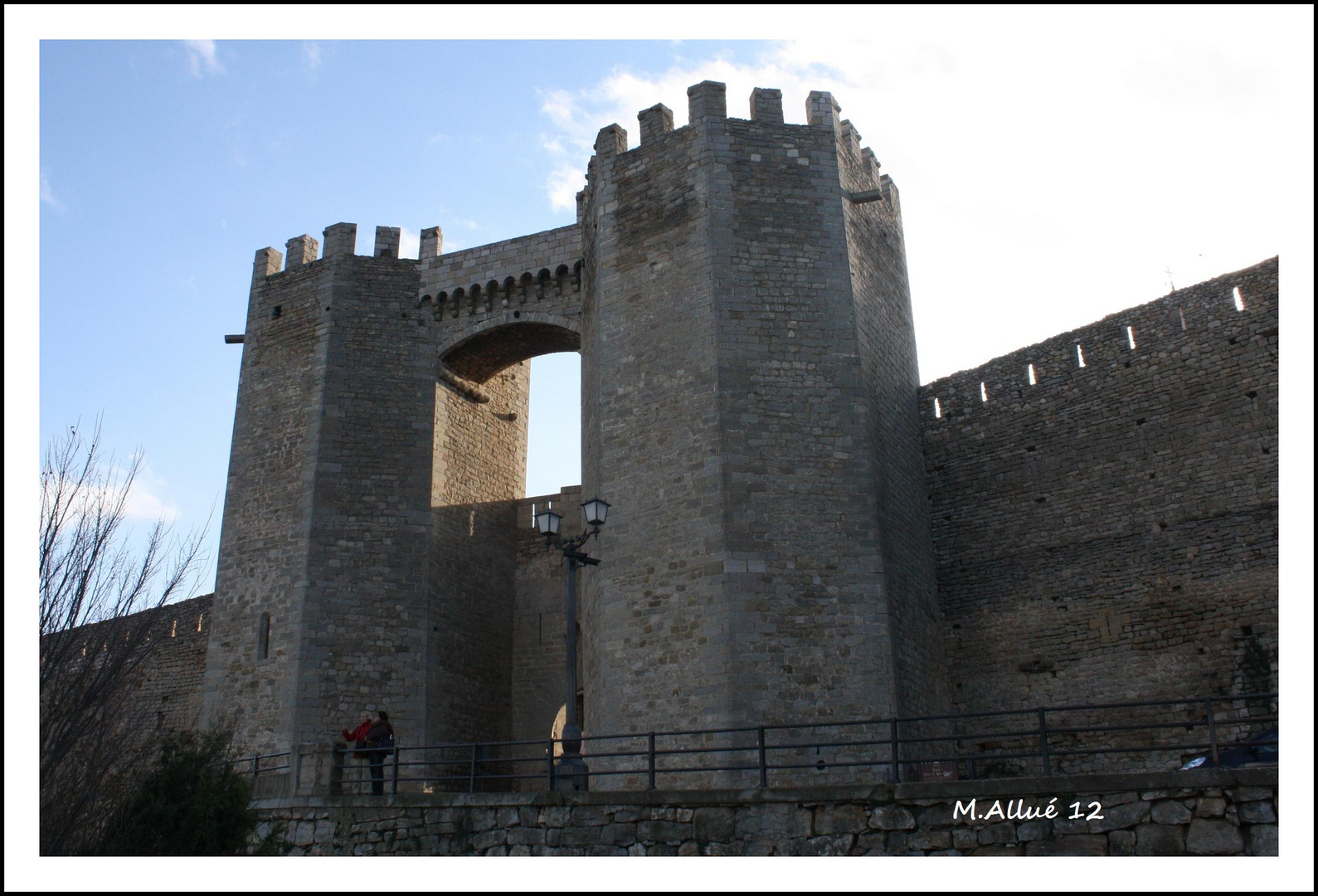 Morella