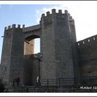 Morella