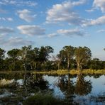 Moremi Game Reserve