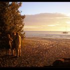 Moreton Island, Australia