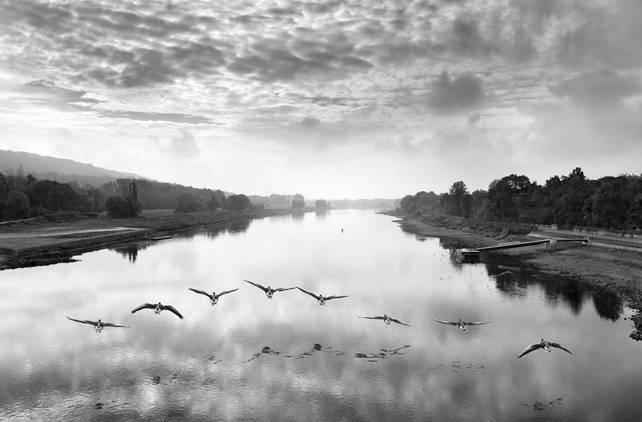 Morgen Bild Foto Von Beate Zimmermann Aus Natur Schwarz Weiss Fotografie Fotocommunity