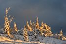 Nationalpark Schwarzwald