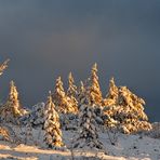 Nationalpark Schwarzwald